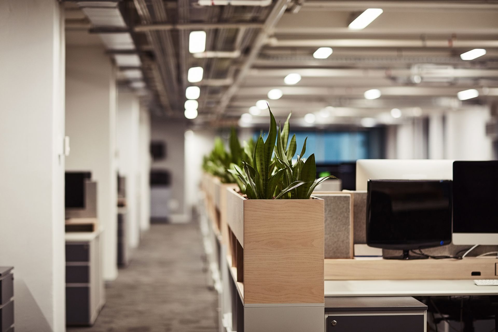 Office interior with rows of desks, plants, and fluorescent lights.
