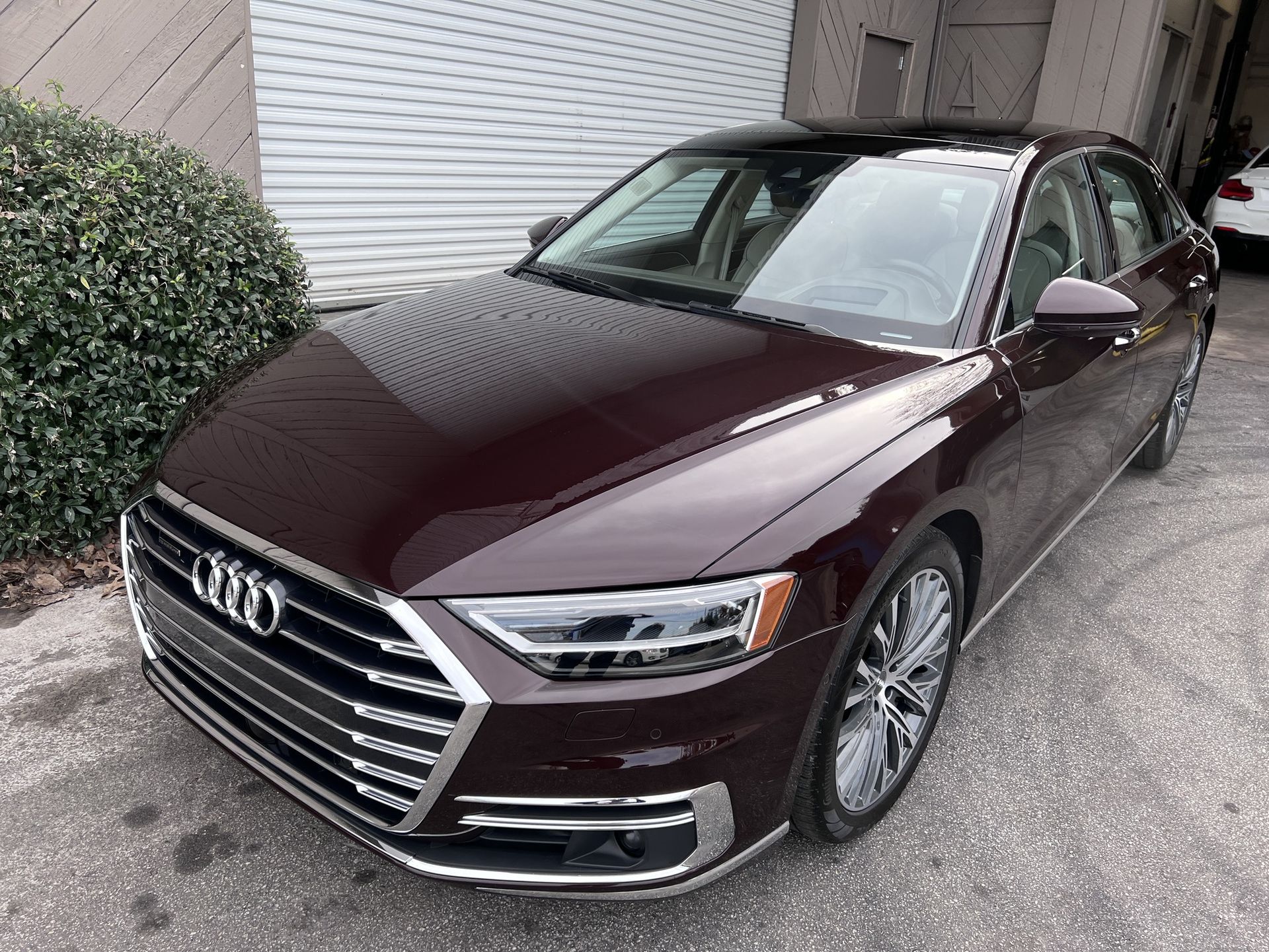 Audi A7 Paint Correction