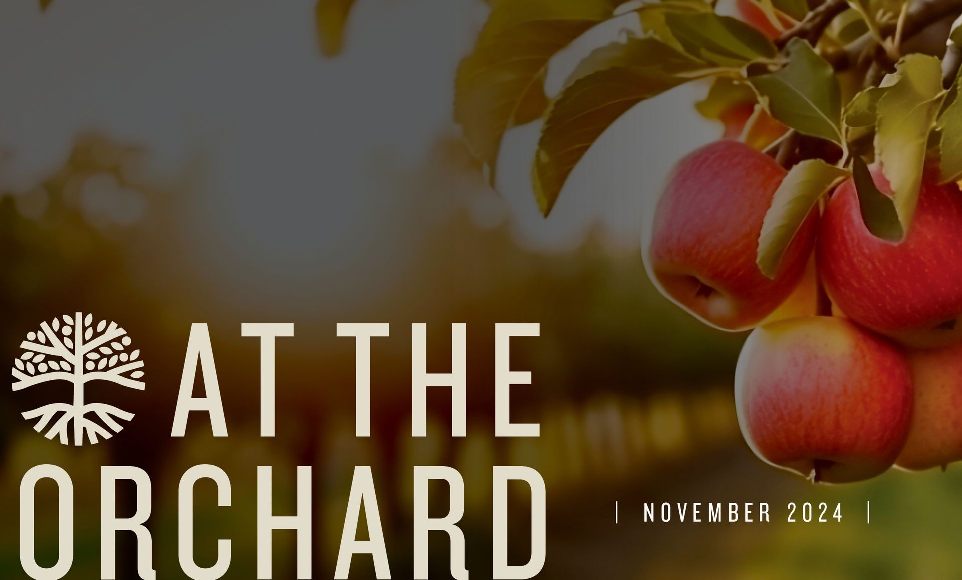 An ad for at the orchard focuses on the orchard north shore and global ministries