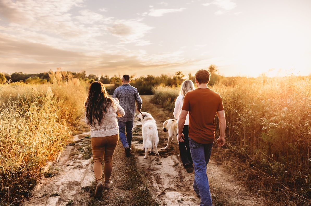 A group of people are walking their dogs down a dirt path.