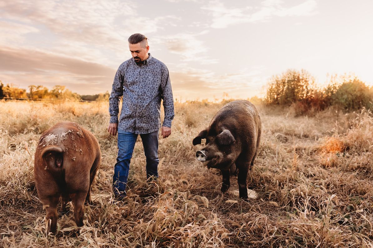 A man is standing next to two pigs in a field.
