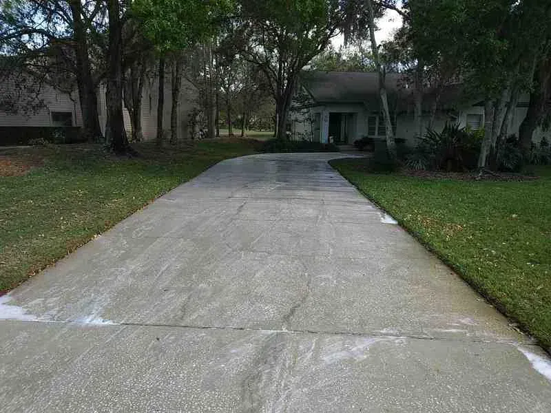 House washing a light tan house with green algae growth.