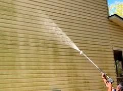House washing a light tan house with green algae growth.