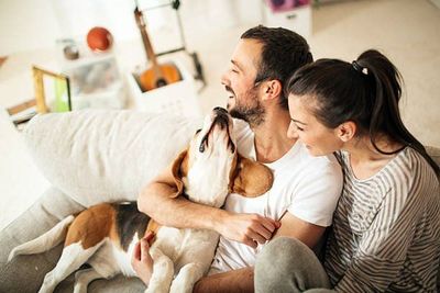 A man and a woman are sitting on a couch with a dog.