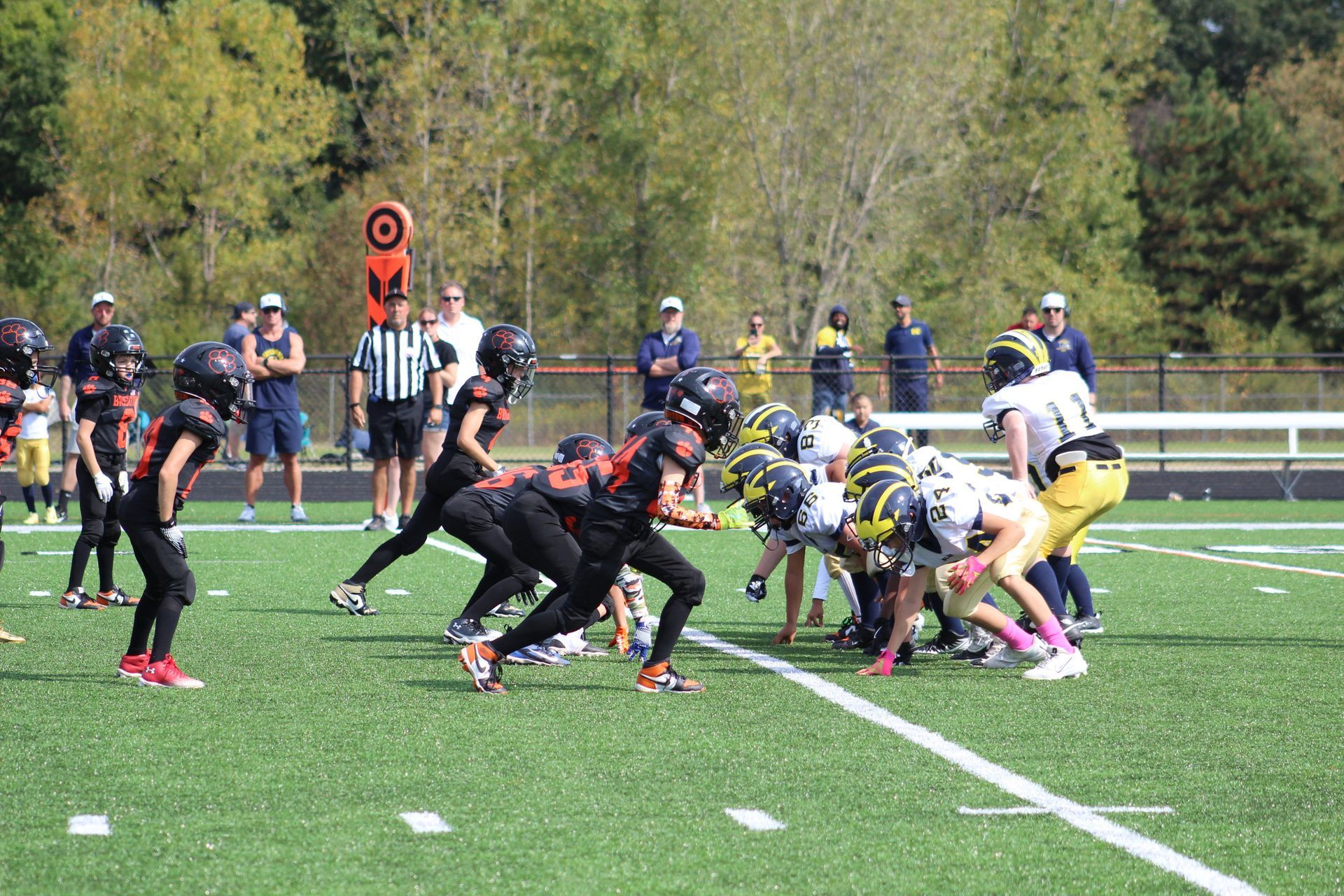 Football teams lined up at the line of scrimmage on a green field with trees in the background