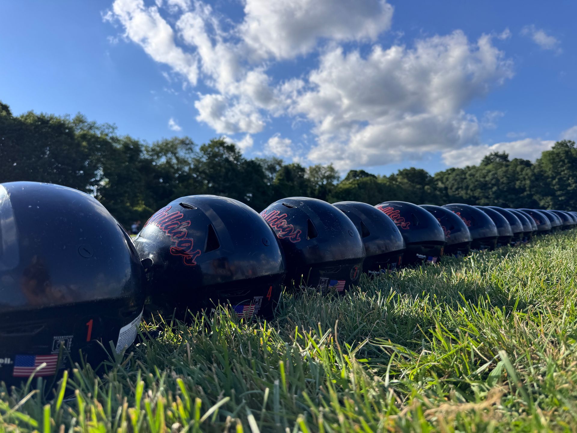 Row of dark helmets or balls in tall grass under a bright blue sky with clouds