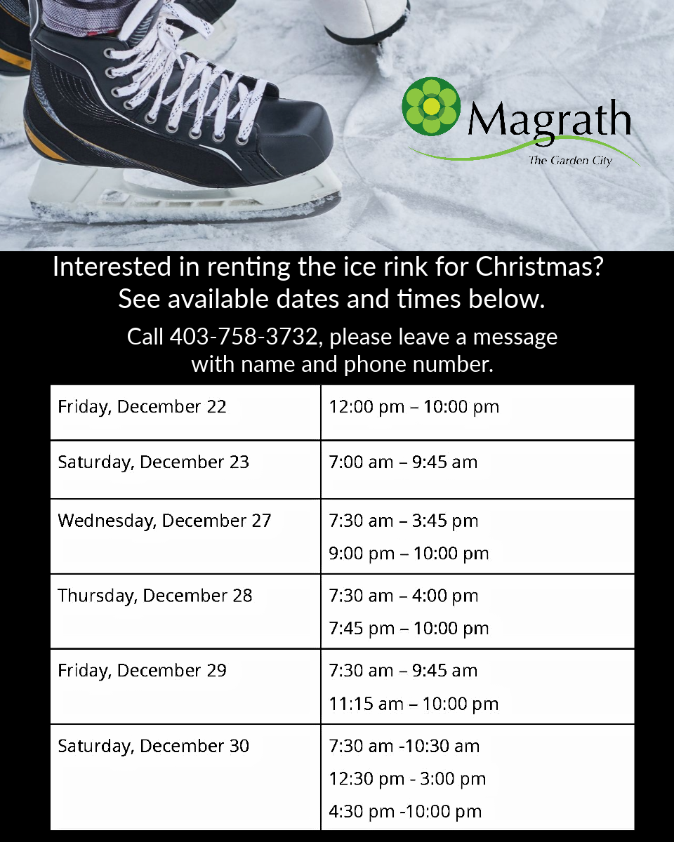 Christmas Ice Rink Rentals