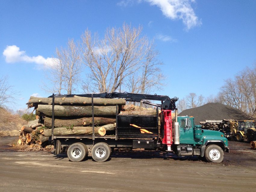 Tree Pruning Neptune, NJ Armstrong Tree Service