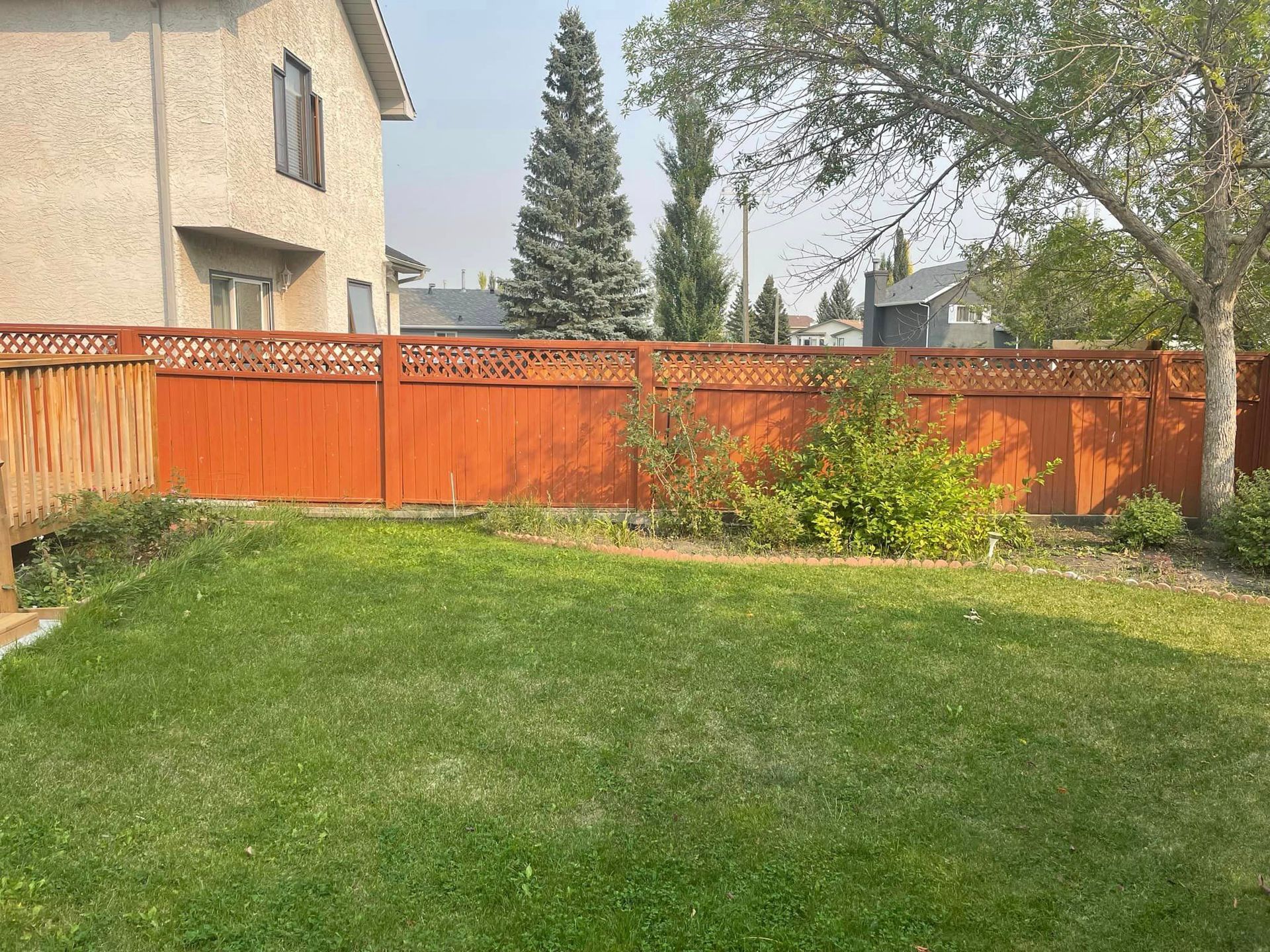 A backyard with a wooden fence and a lush green lawn.