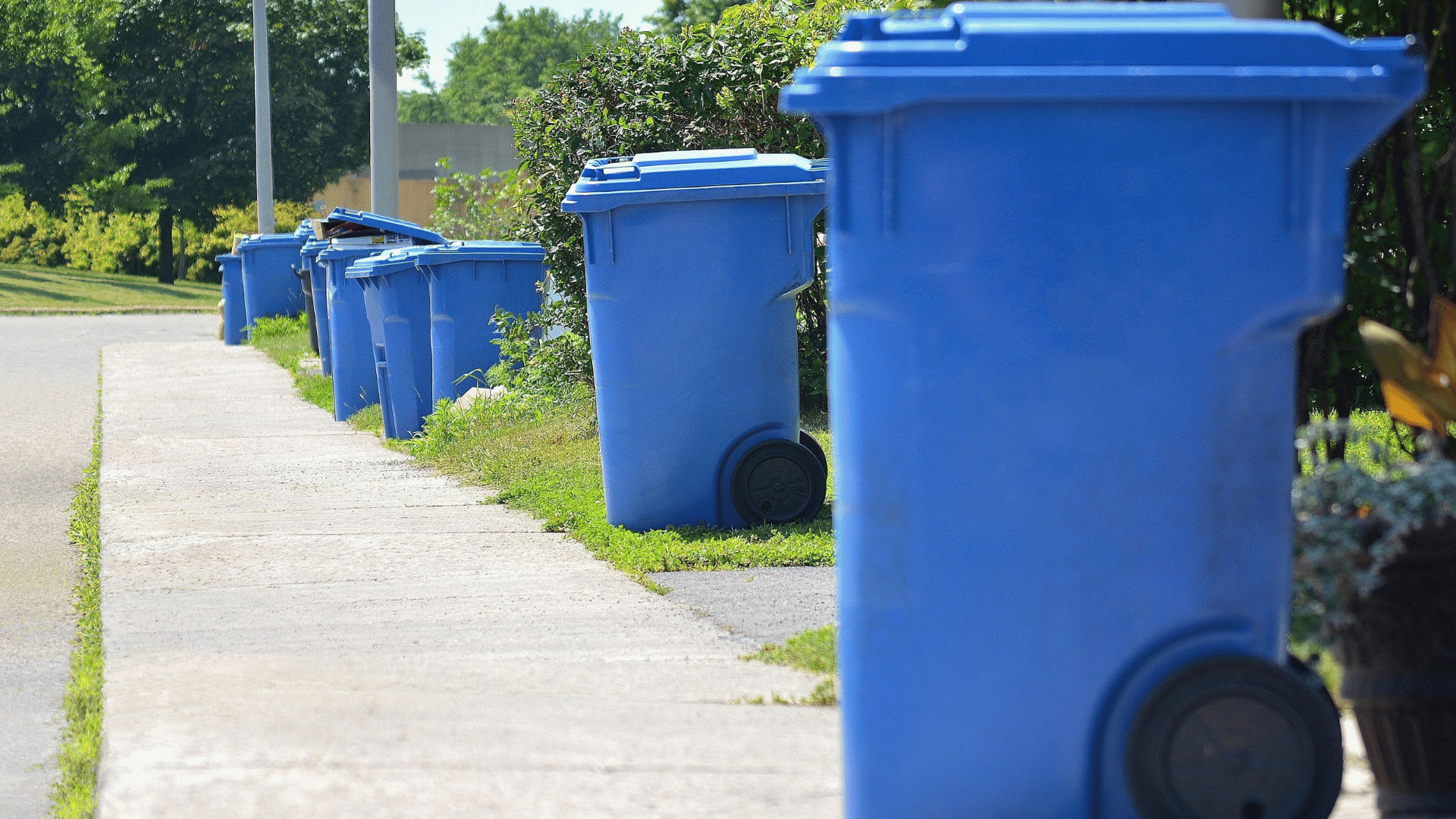Curbside Trash Removal in Ball Ground, GA