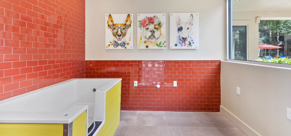 Pet washing station at La Costa Villas in Dallas, TX.