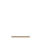 A brown line on a white background.