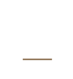 A brown line on a white background.