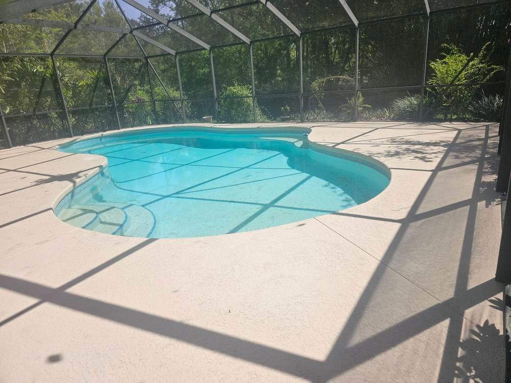 Swimming pool enclosed in a screened patio