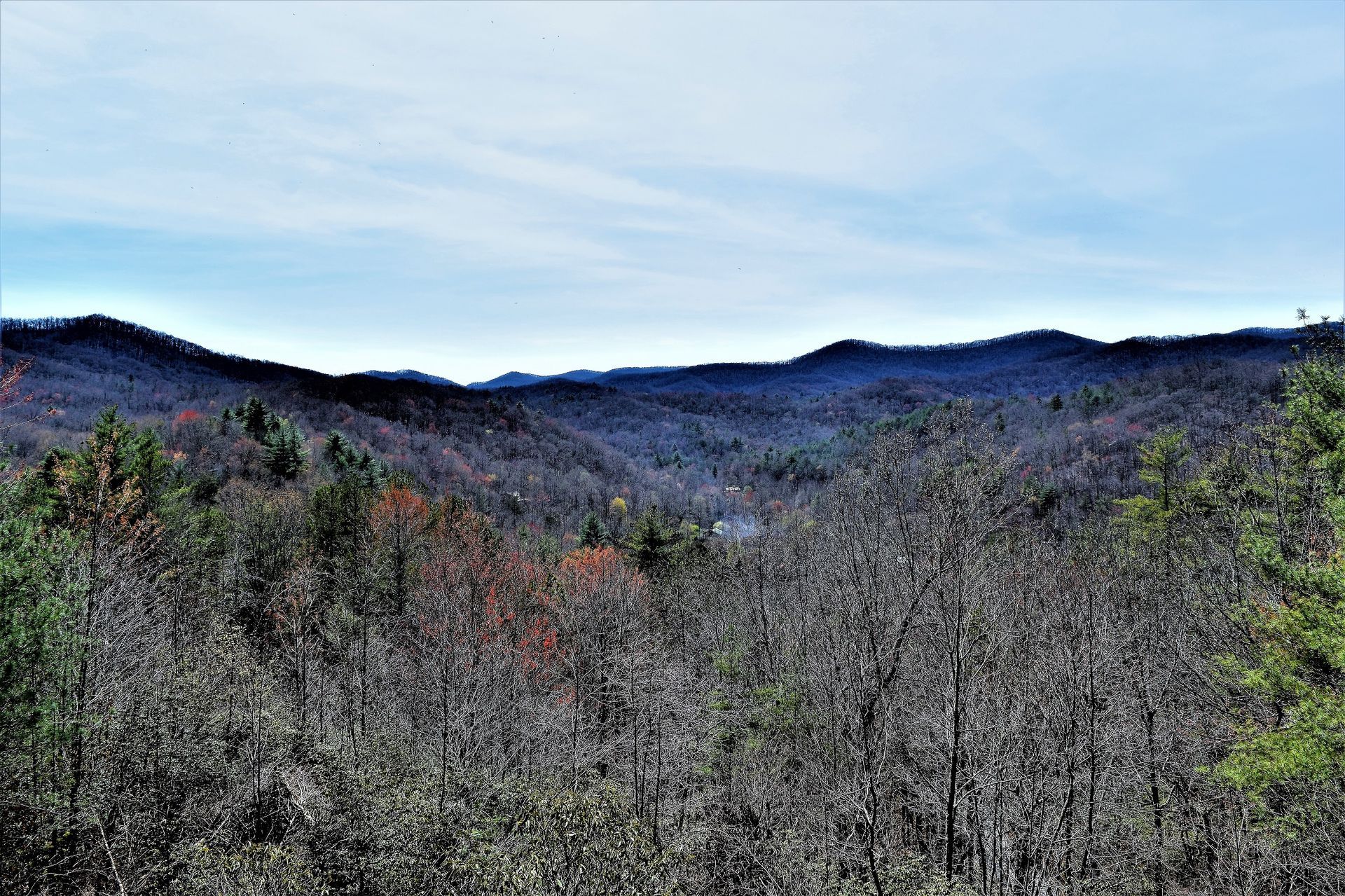 Overcast mountain landscape with dense leafless trees and distant blue hills