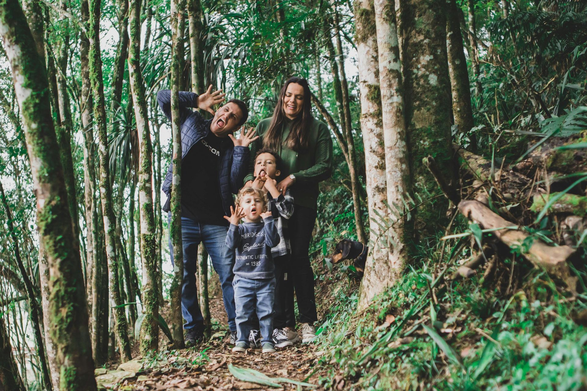 image of family hiking in north Georgia mountains