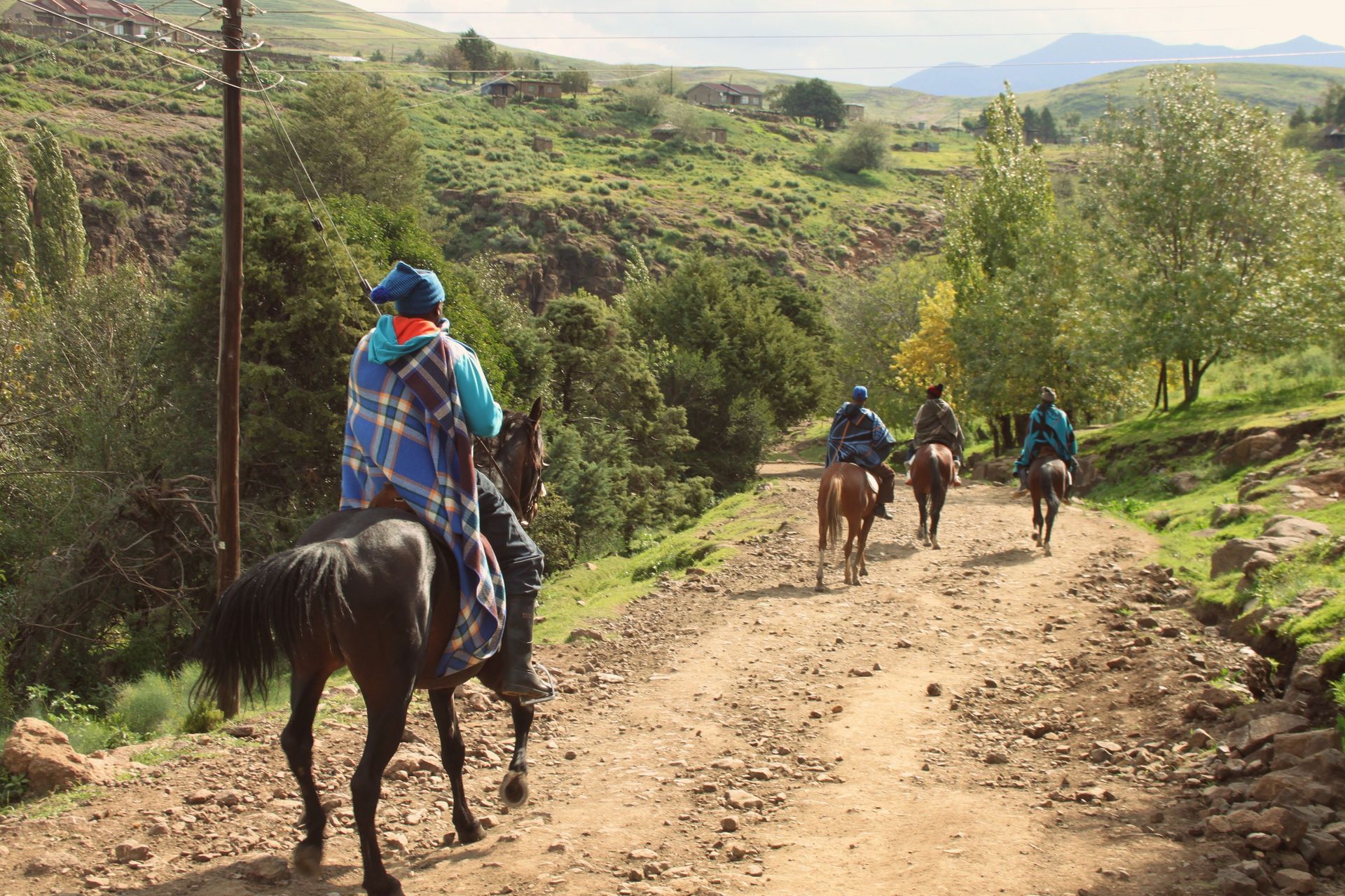 Horseback trail rides