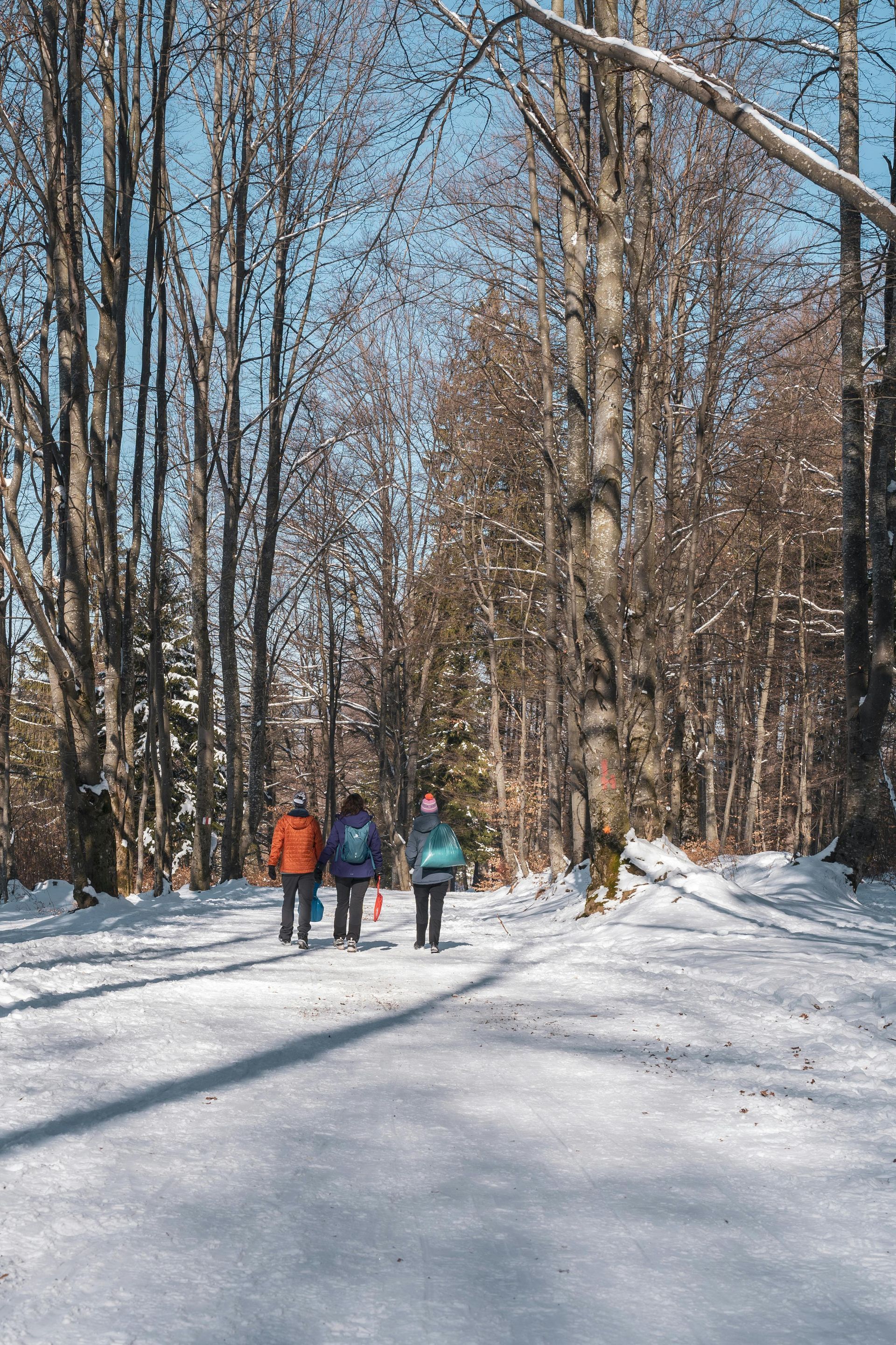 Family hiking in the north Georgia mountains of Blue Ridge.