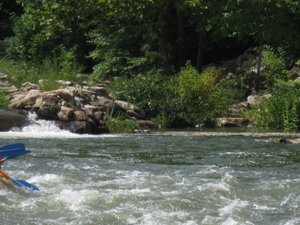 Rushing river with rocky banks, green trees, and a blue kayak paddle at the left edge
