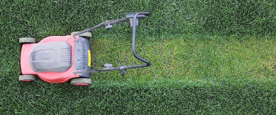 Garden machinery repairs