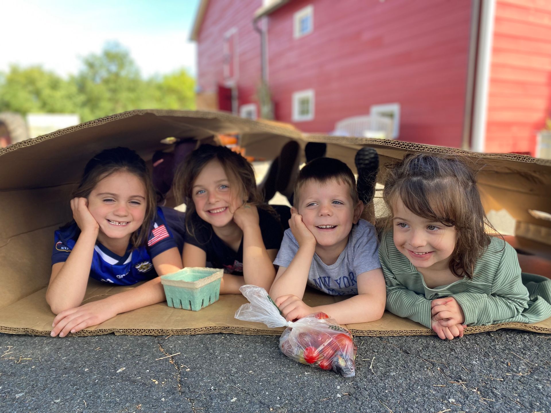 Nine square baskets filled with ripe red strawberries.