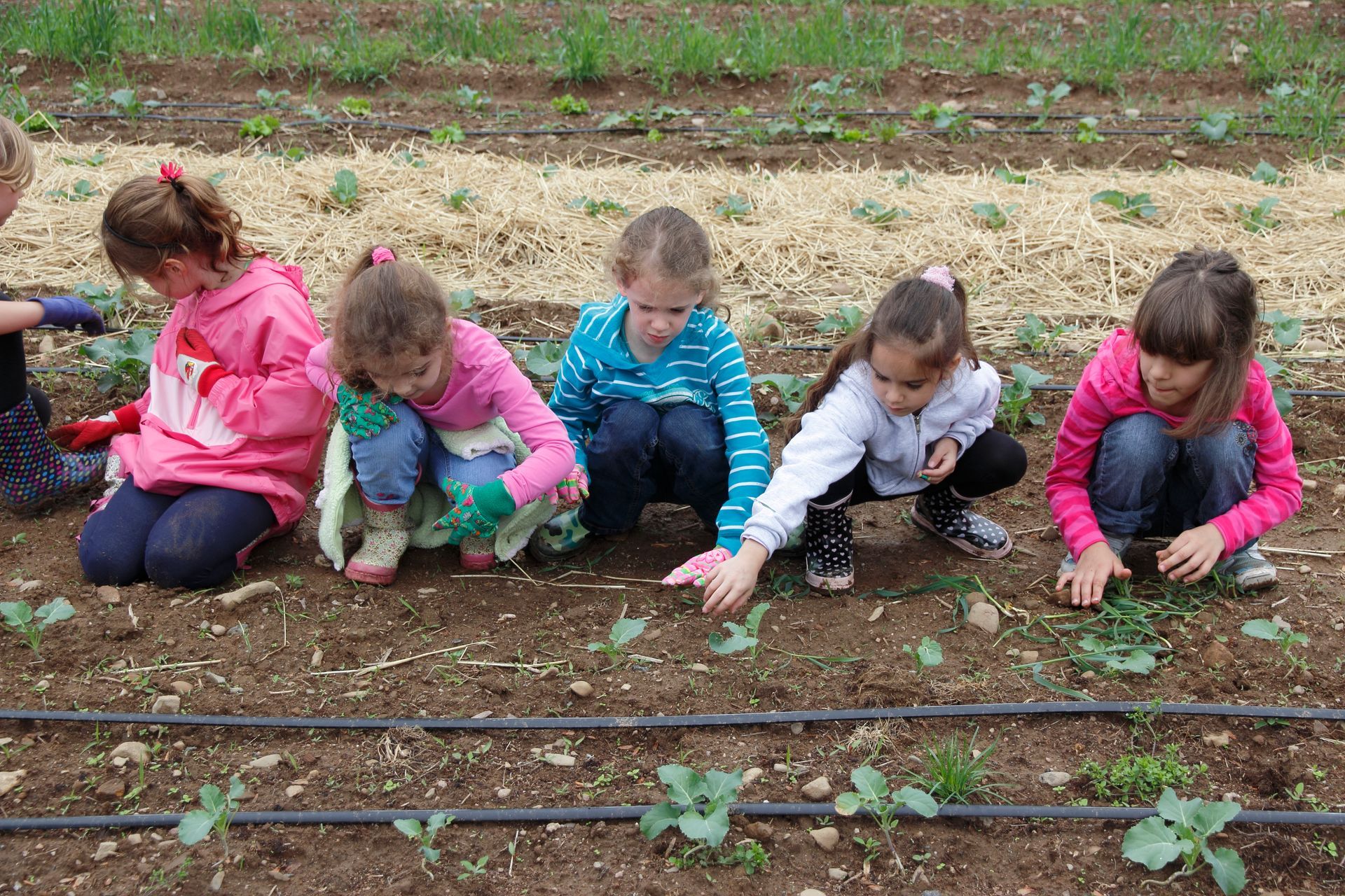 Educational Scholarship