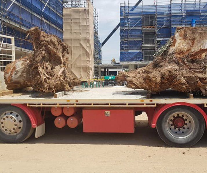Tree Stumps On Truck — Earthmoving in Southern Highlands, NSW