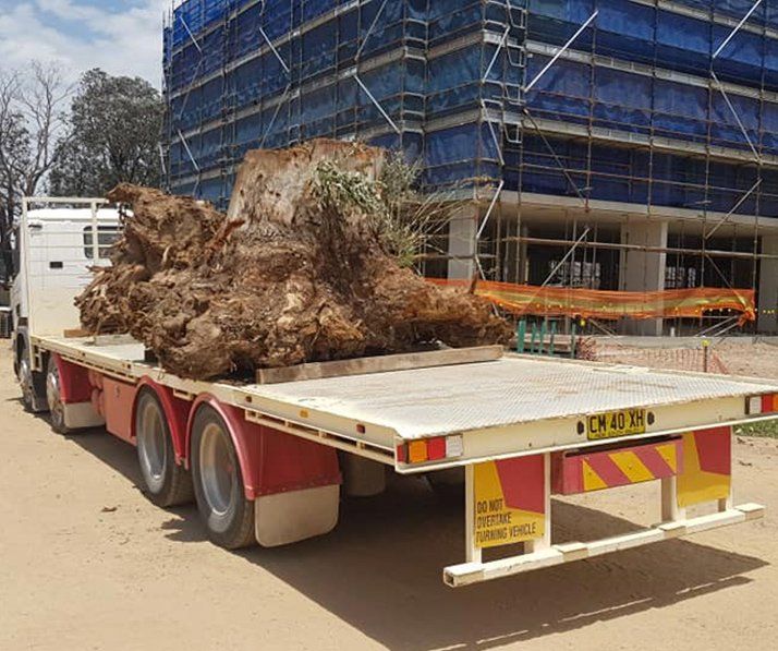 Truck Carrying Tree Roots — Earthmoving in Southern Highlands, NSW