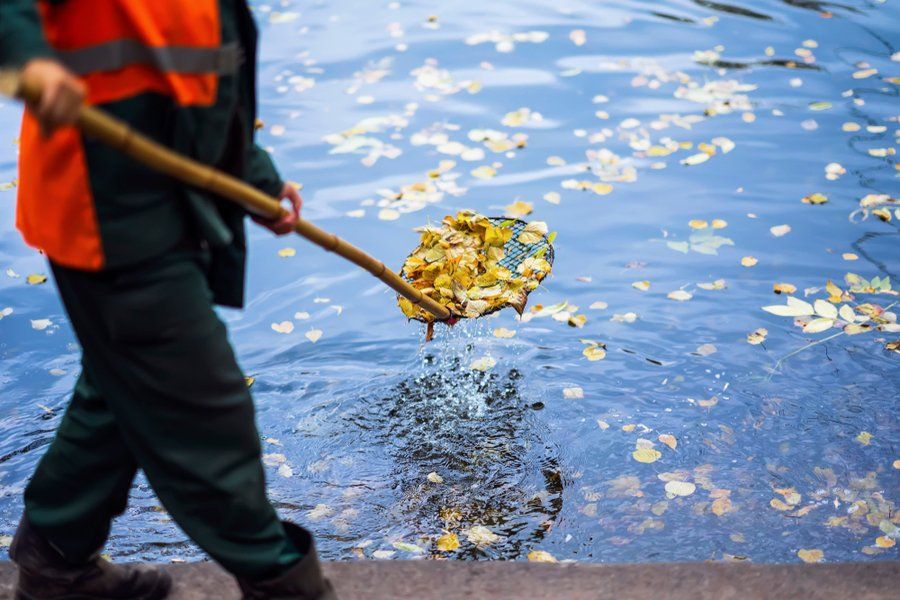 Pond Cleaning Services in Centennial, Colorado