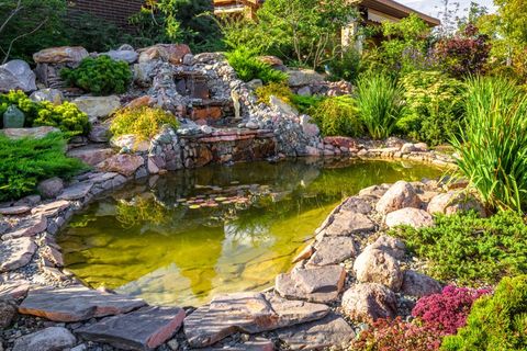 Koi Pond Waterfall in Denver, Colorado