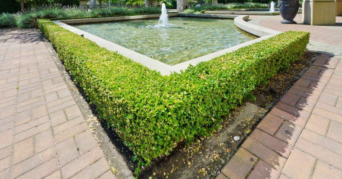 Landscape Design in Denver, Colorado