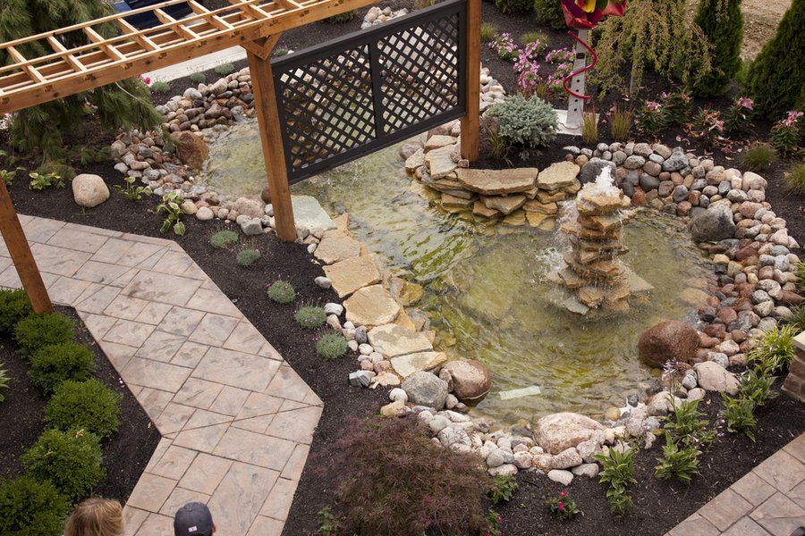 Koi Pond Installation in Denver, Colorado