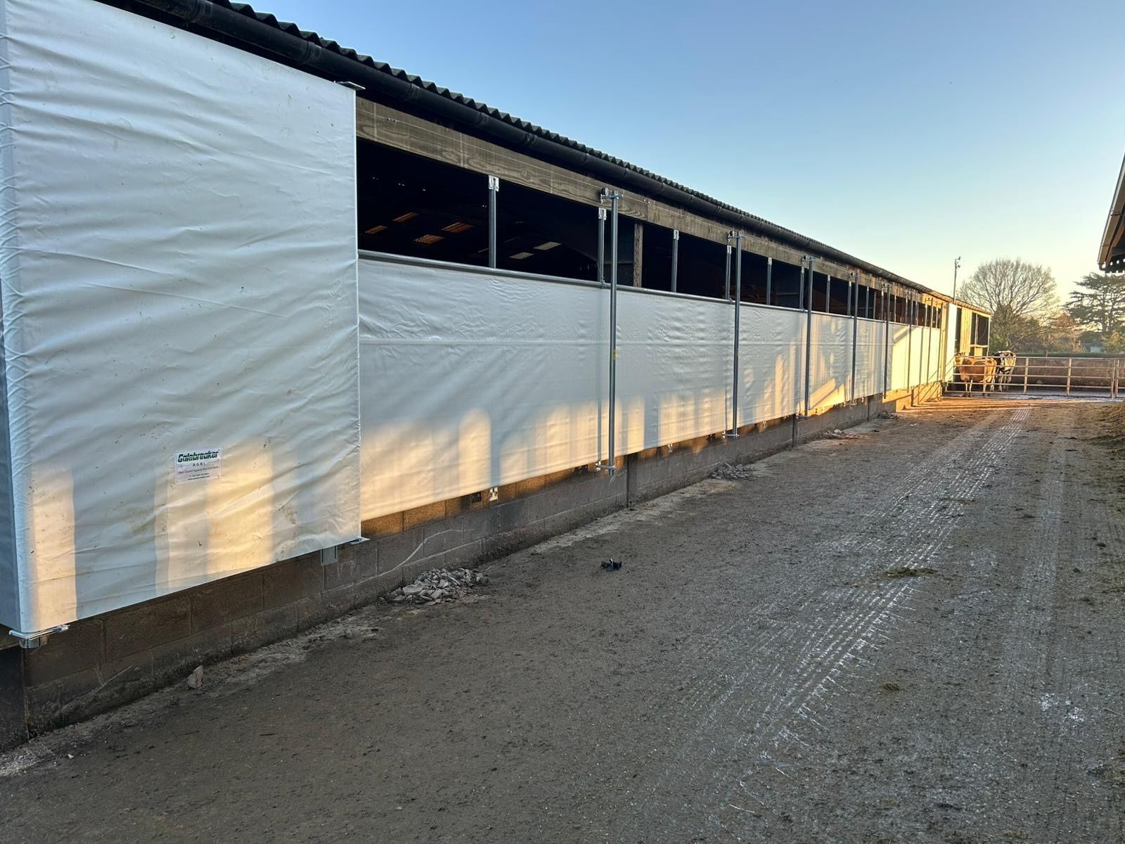 A side view of a long, agricultural building with a white curtain wall covering its side, set against a clear blue sky.