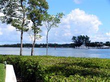 mangrove trimming, shoreline restoration, shoreline enhancement