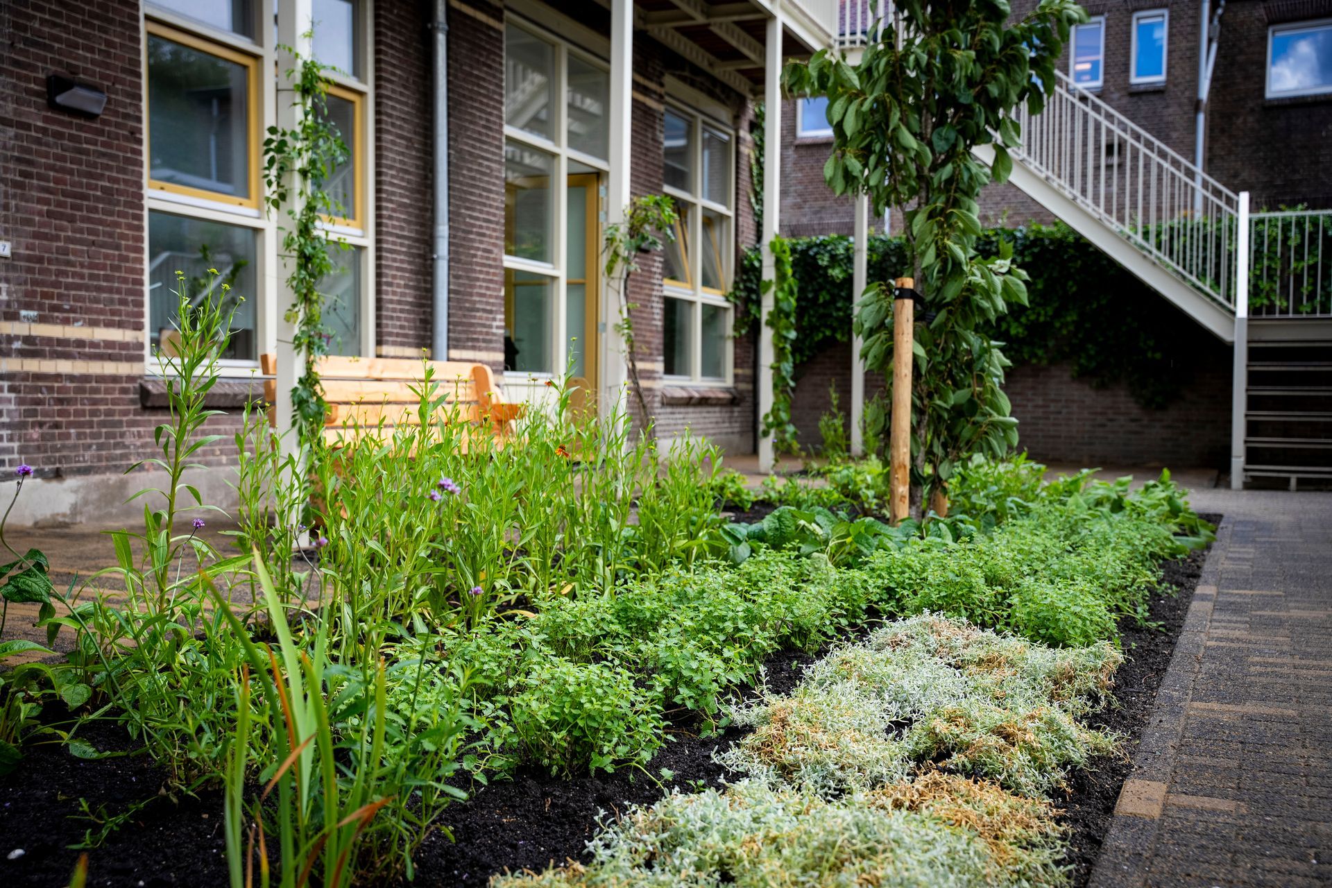 Teixeira de Mattoshof, Gouda