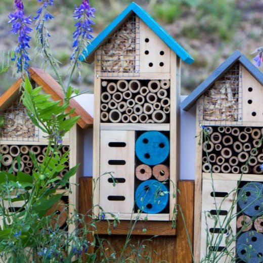 Bijenhotels