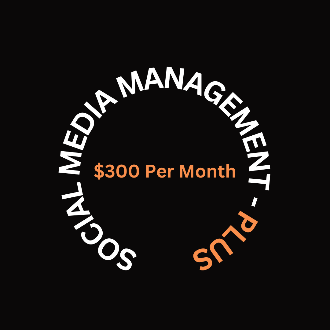 Social Media Management Basic Banner