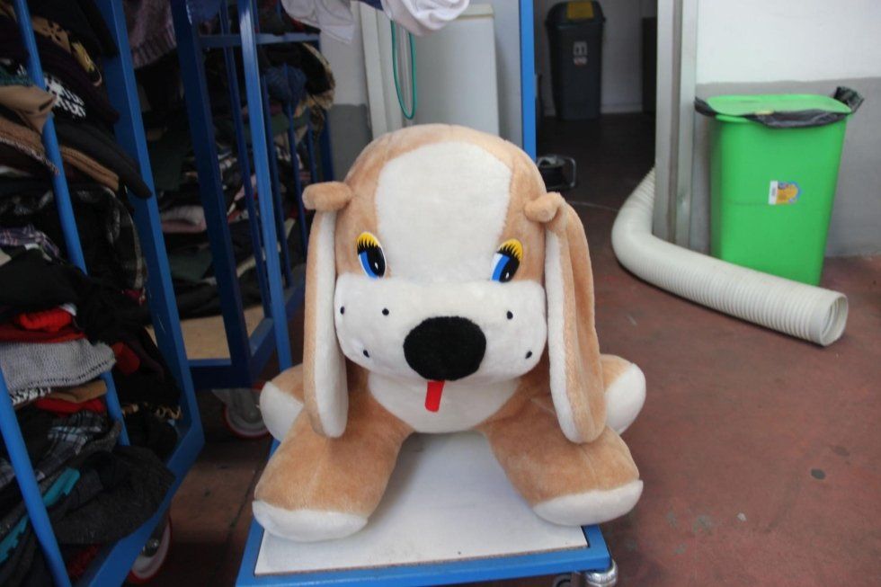 Cane in peluche di seconda mano