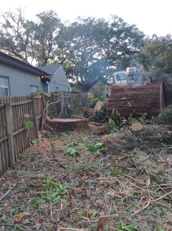 Yard with large tree trunk and stump. Tree removal debris next to a fence and house.