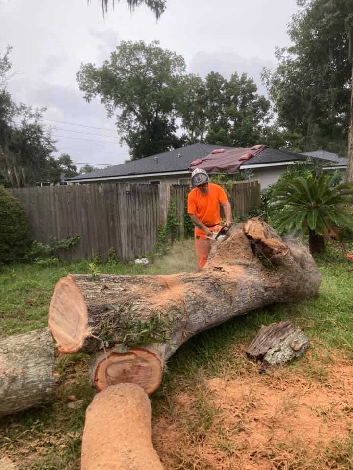Man in orange cutting a fallen log with a chainsaw in a backyard.