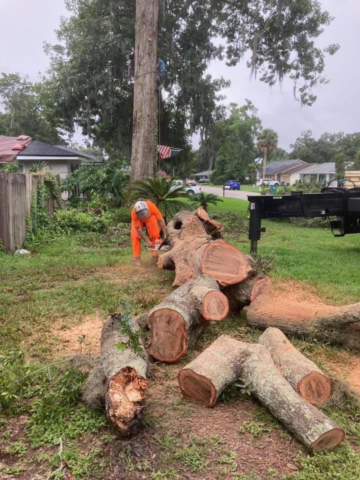 Person in orange suit cutting fallen tree trunk with chainsaw in a grassy yard.