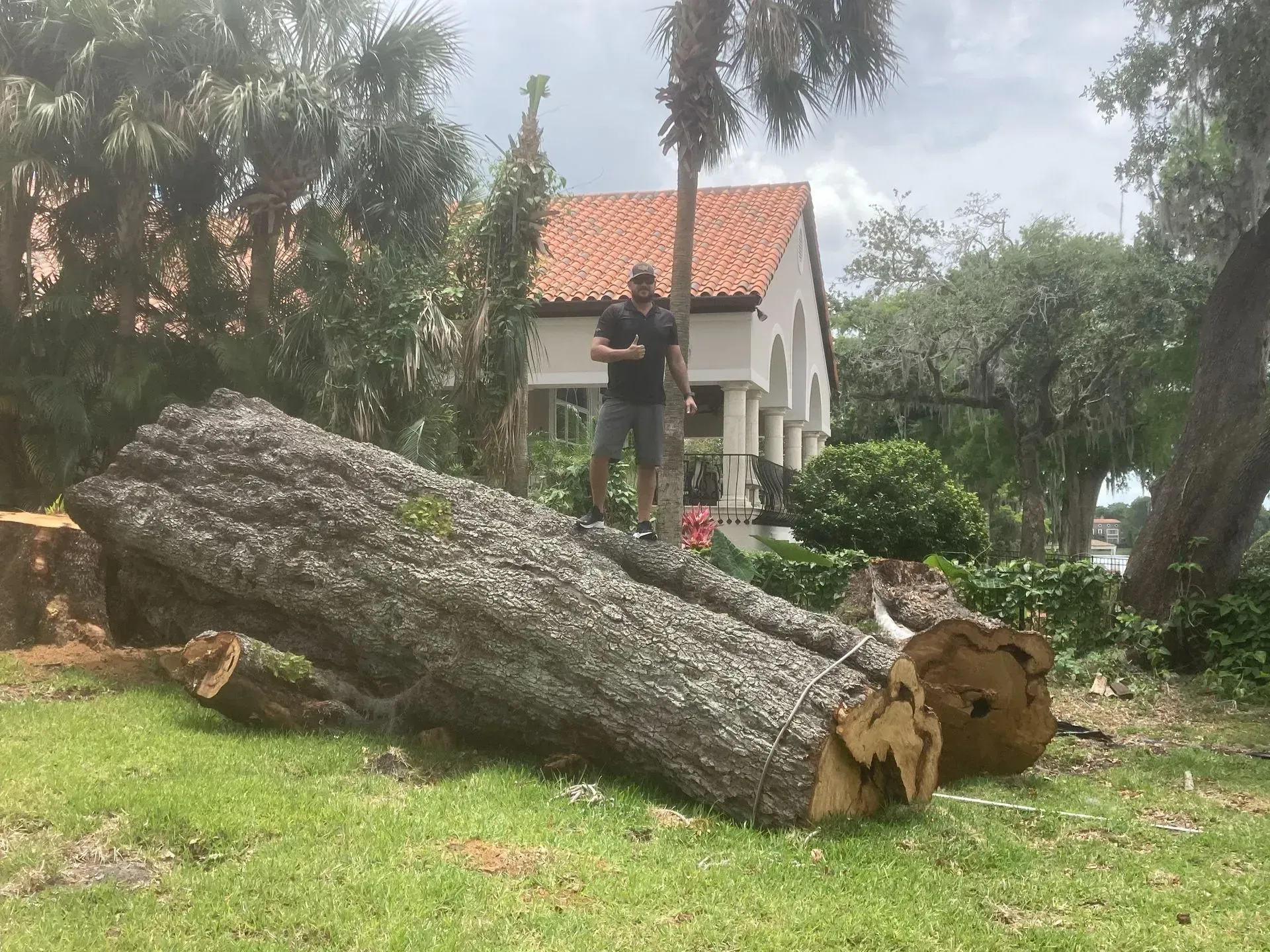 Man standing near a felled tree trunk in front of a house with a red tile roof.