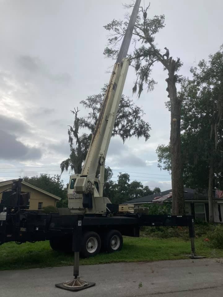 Crane trimming a tall tree in a residential area, cloudy sky.