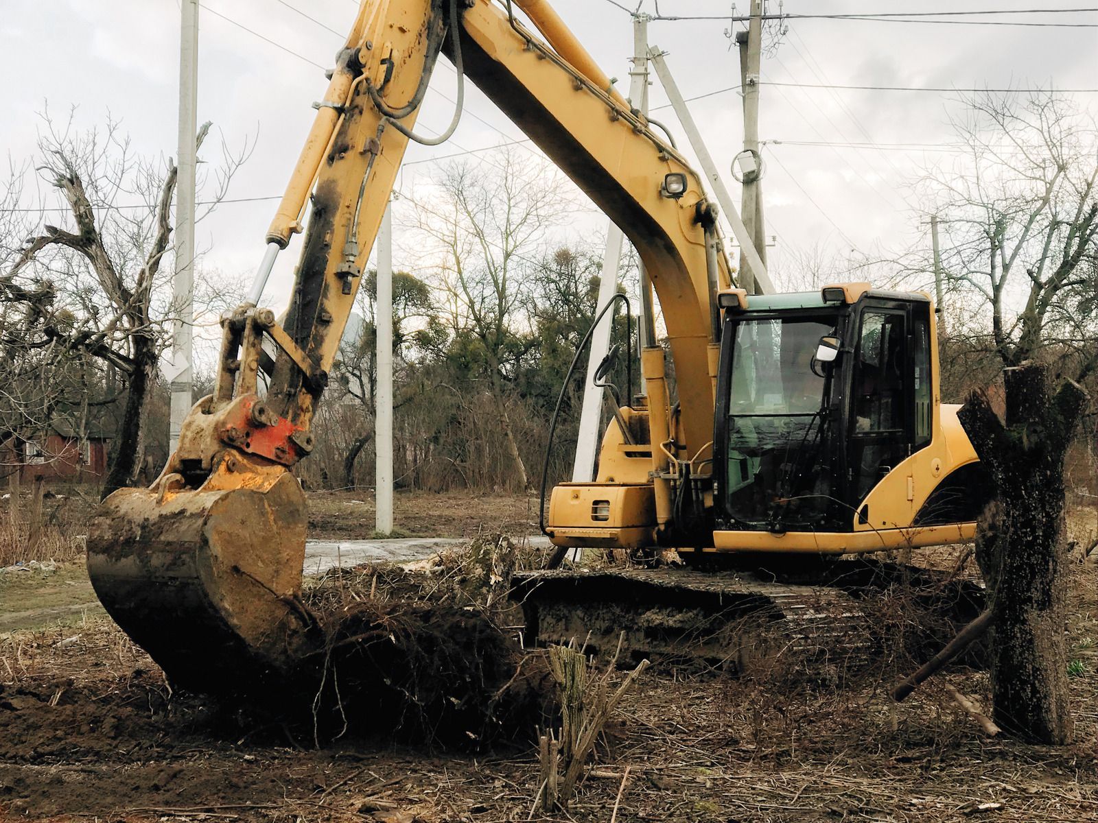 Yellow excavator clearing brush, outdoors.