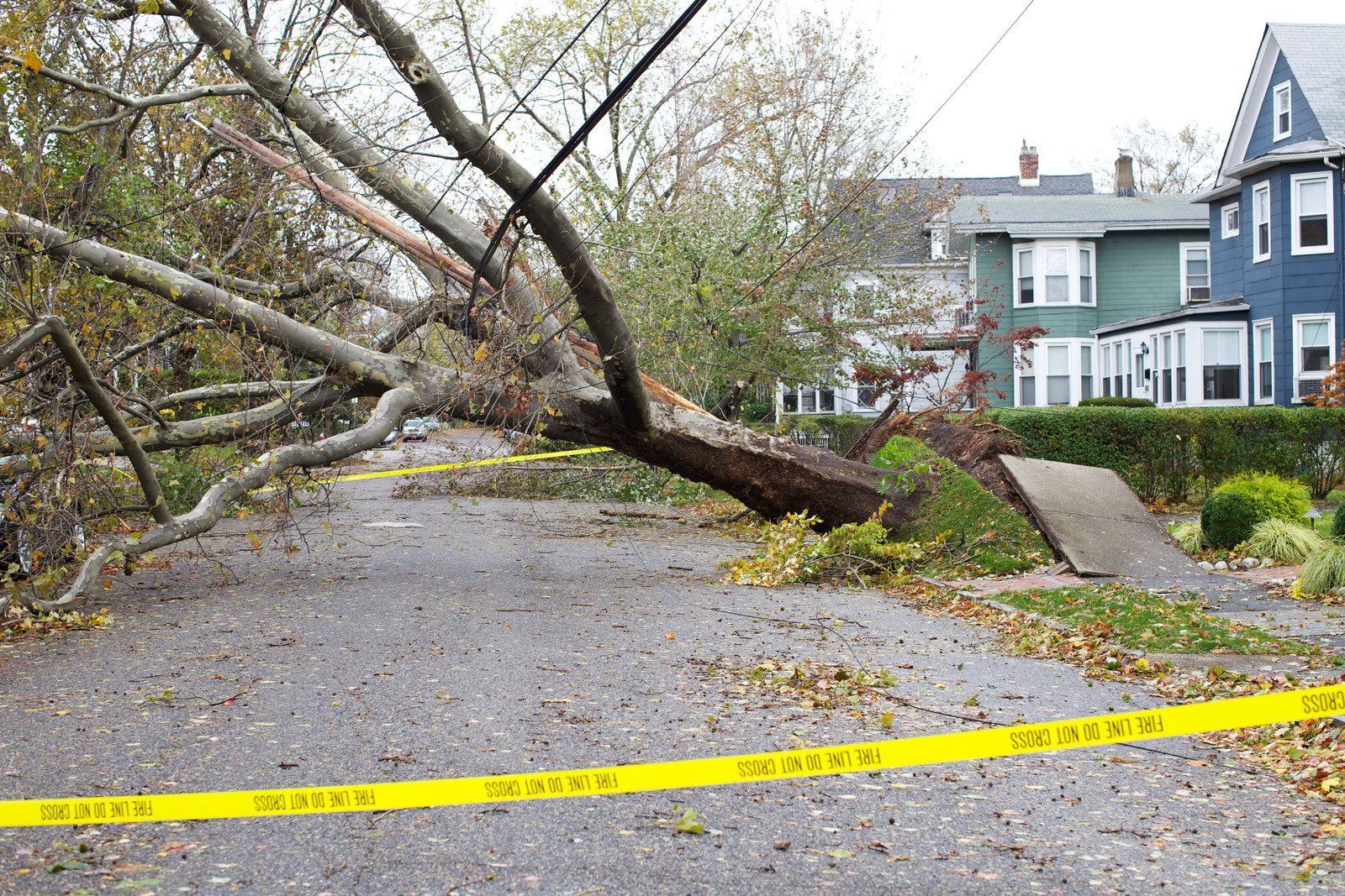Fallen tree blocking street, yellow caution tape in front, near houses.
