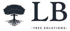 Logo featuring a tree with roots and the letters 
