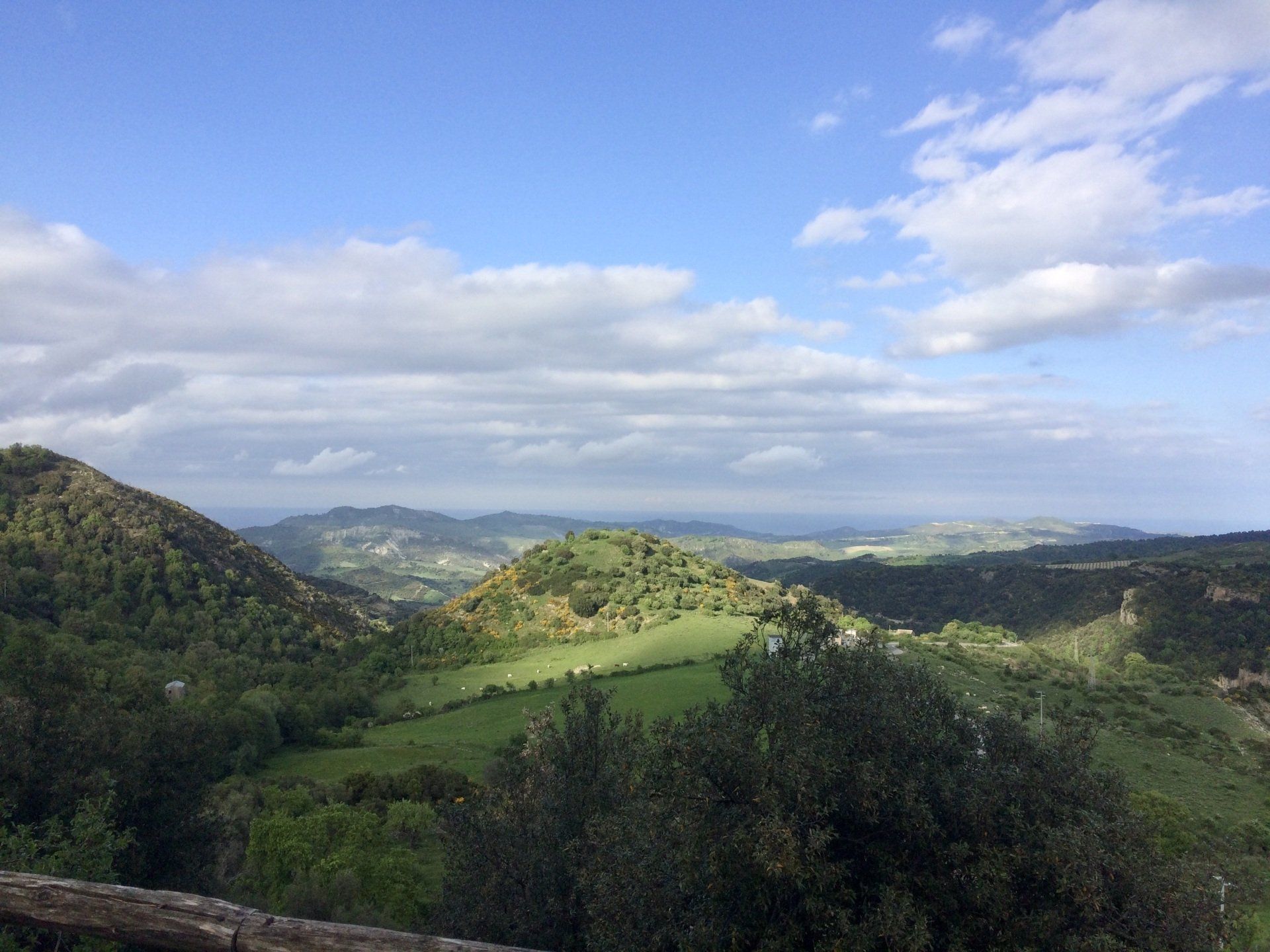 territorio dintorni Cirò Marina
