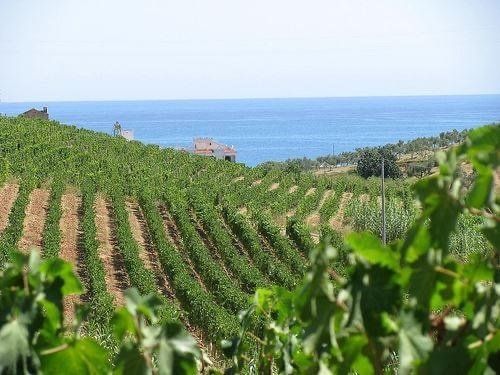 Casa vacanze Cirò Marina enoturismo