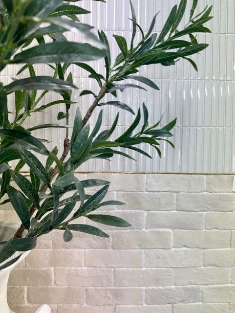 A Plant Is Sitting In Front Of A Brick Wall  — Stone Arc in Kincumber, NSW