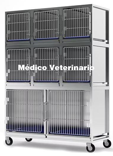 TECNO ROBLES DE MÉXICO SA DE CV